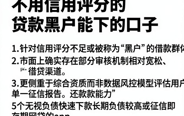 不用信用评分的贷款黑户能下的口子，详细阐述5个无视负债快速下款长期网贷的app