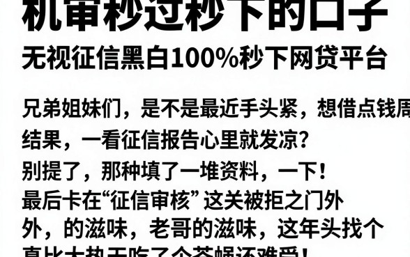 机审秒过秒下的口子，深入剖析五个无视征信黑白100%秒下网贷平台