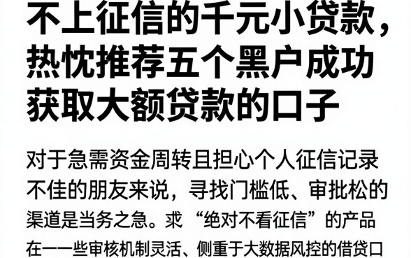 不上征信的千元小贷款,热忱推荐五个黑户成功获取大额贷款的口子