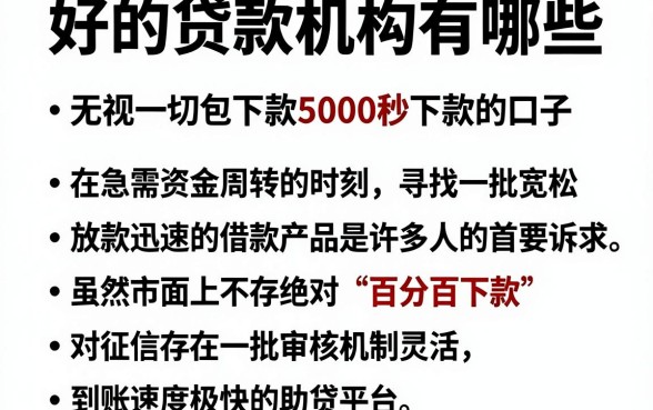 好的贷款机构有哪些，概括五个无视一切包下款5000秒下款的口子