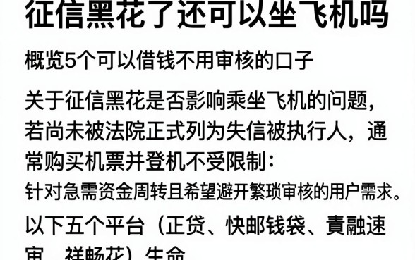 征信黑花了还可以坐飞机吗,概览5个可以借钱不用审核的口子