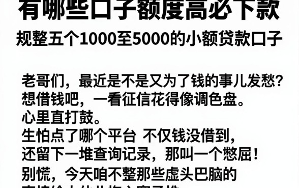 有哪些口子额度高必下款，规整五个1000至5000的小额贷款口子