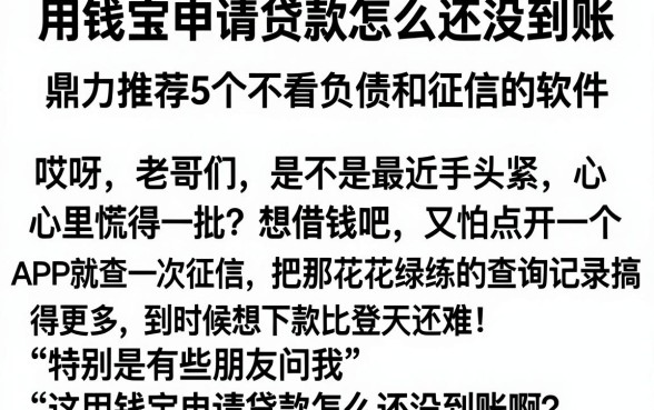 用钱宝申请贷款怎么还没到账，鼎力推荐5个不看负债和征信的软件