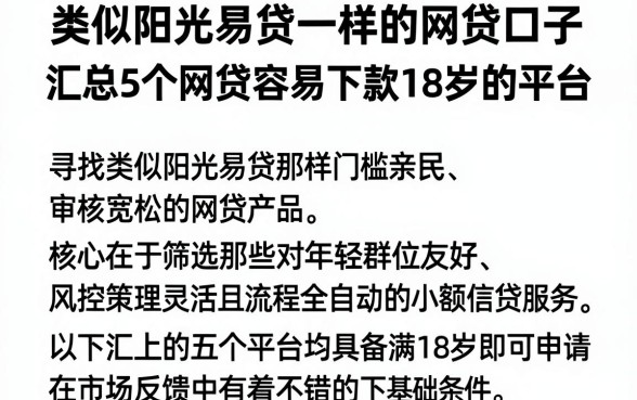 类似阳光易贷一样的网贷口子,汇总5个网贷容易下款18岁的平台