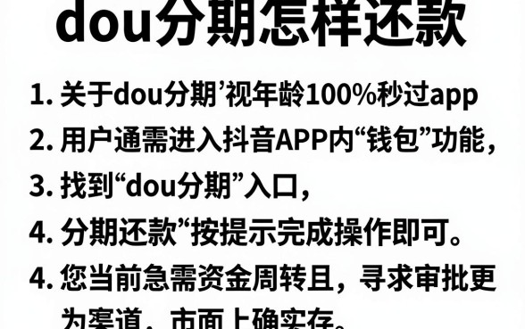 dou分期怎样还款,规整五个借款无视黑白无视年龄100%秒过app