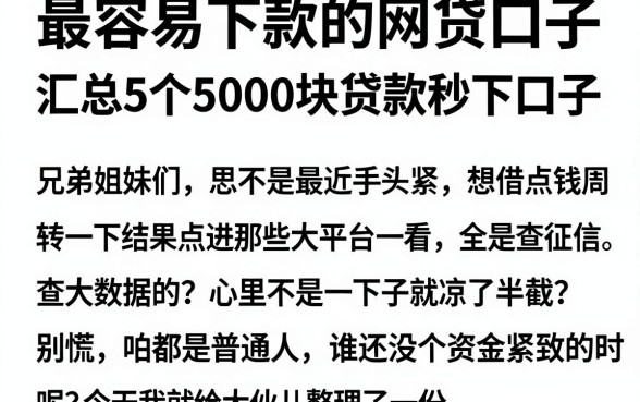 最容易下款的网贷口子，汇总5个5000块贷款秒下口子