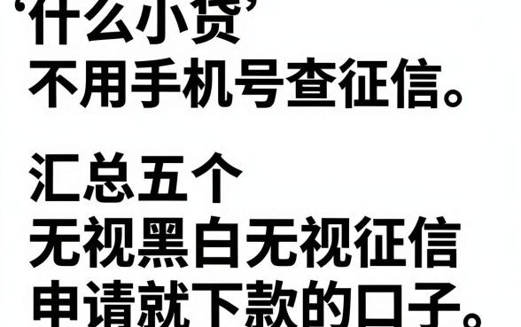 什么小贷不用手机号查征信，汇总五个无视黑白无视征信申请就下款的口子