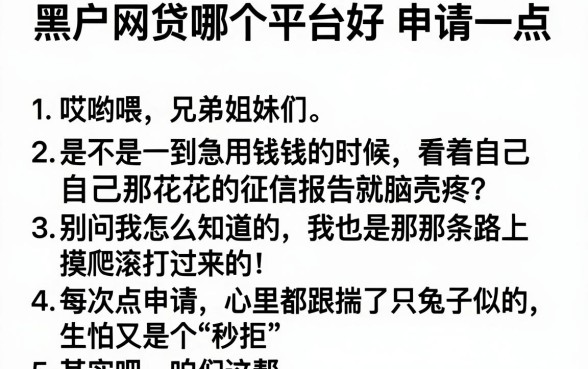 黑户网贷哪个平台好申请一点，条列五个比较好的小额贷款平台