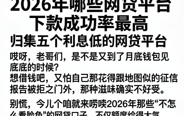 2026年哪些网贷平台下款成功率最高，归集五个利息低的网贷平台