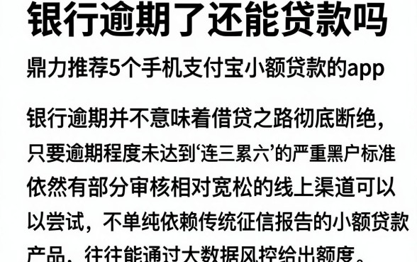 银行逾期了还能贷款吗,鼎力推荐5个手机支付宝小额贷款的app