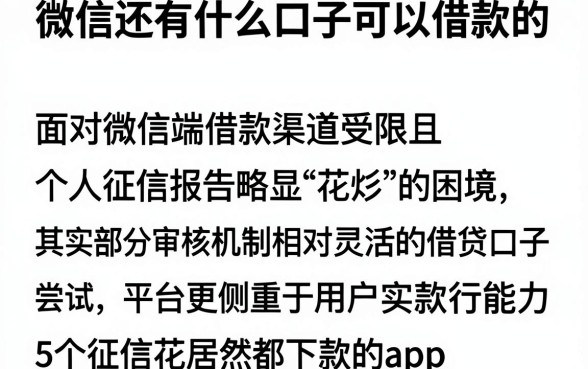 微信还有什么口子可以借款的，详细阐述5个征信花居然都下款的app