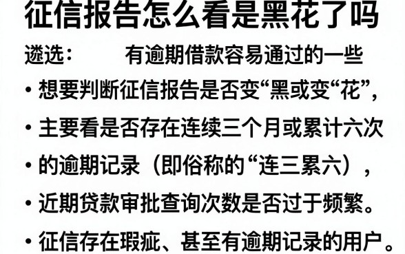 征信报告怎么看是黑花了吗，遴选五个有逾期借款容易通过的平台