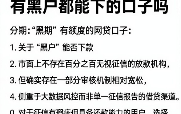 有黑户都能下的口子吗,概览五个分期有额度的网贷口子