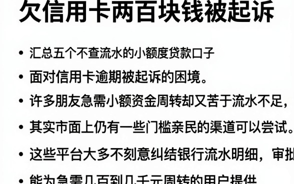 欠信用卡两百块钱被起诉,汇总五个不查流水的小额度贷款口子