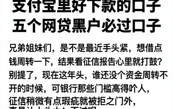 支付宝里好下款的口子,概览五个网贷黑户必过口子