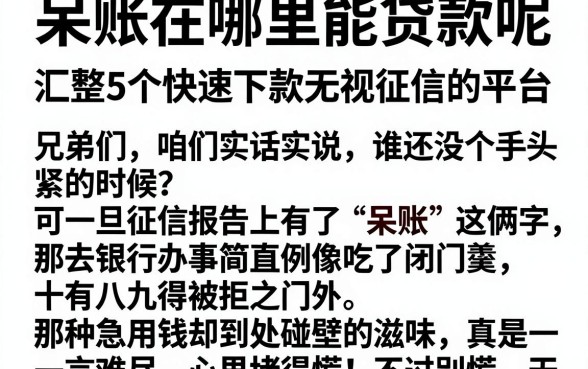 呆账在哪里能贷款呢，汇整5个快速下款无视征信的平台