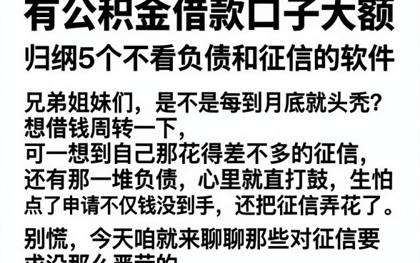 有公积金借款口子大额，归纳5个不看负债和征信的软件