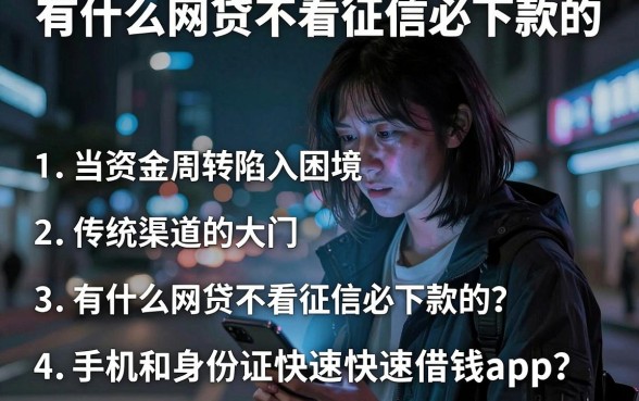 有什么网贷不看征信必下款的，归纳五个手机和身份证快速借钱app