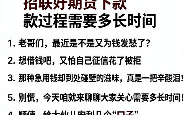 招联好期贷下款过程需要多长时间，细致阐述五个网贷容易下款18岁的平台