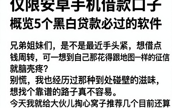 仅限安卓手机借款口子，概览5个黑白贷款必过的软件