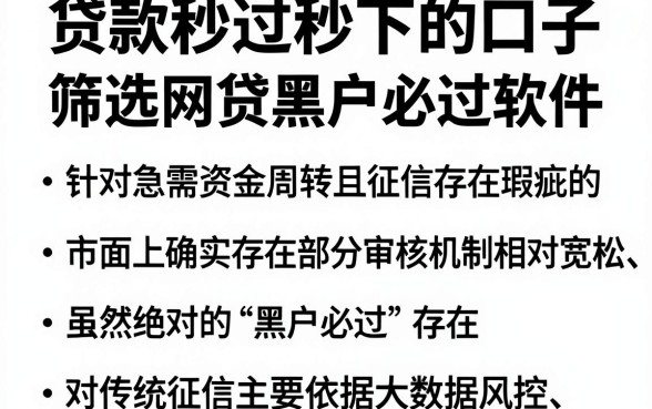 贷款秒过秒下的口子，筛选五个网贷黑户必过软件