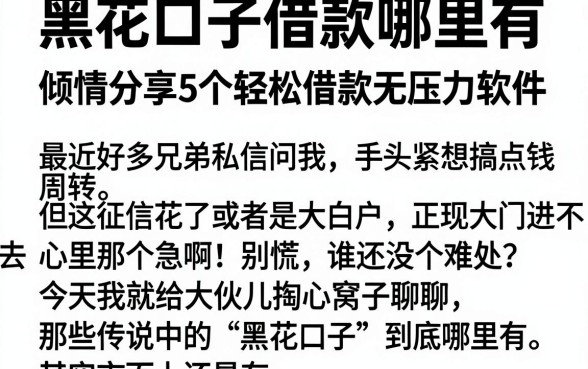 黑花口子借款哪里有,倾情分享5个轻松借款无压力软件