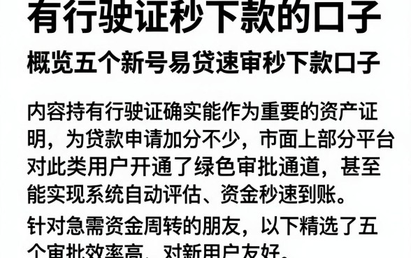 有行驶证秒下款的口子,概览五个新号易贷速审秒下款口子