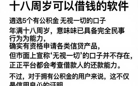 十八周岁可以借钱的软件，遴选5个有公积金无视一切的口子