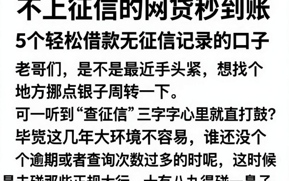 不上征信的网贷秒到账，详尽说明5个轻松借款无征信记录的口子