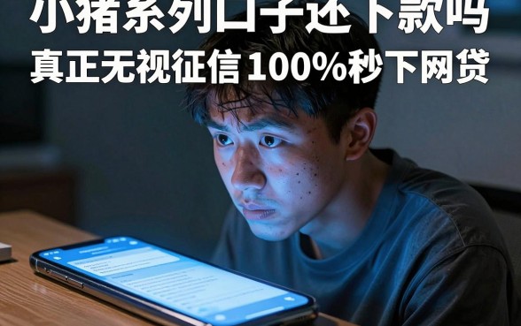 小猪系列口子还下款吗，汇整五个真正无视征信黑白100%秒下网贷