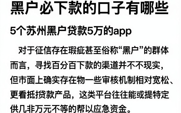黑户必下款的口子有哪些，概览5个苏州黑户贷款5万的app