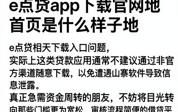 e点贷app下载官网地首页是什么样子地,细致阐述五个黑户可快速办理小额贷款业务的平台