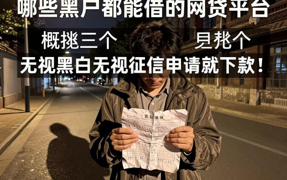 哪些黑户都能借的网贷平台，概括五个无视黑白无视征信申请就下款的平台