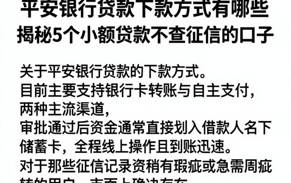 平安银行贷款下款方式有哪些,揭秘5个小额贷款不查征信的口子