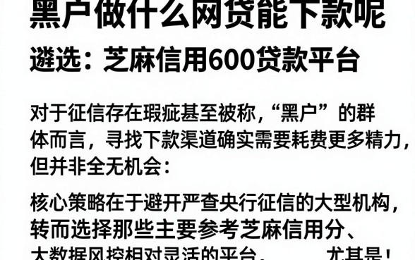 黑户做什么网贷能下款呢,遴选五个芝麻信用600贷款平台