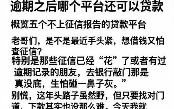逾期之后哪个平台还可以贷款，概览五个不上征信报告的贷款平台