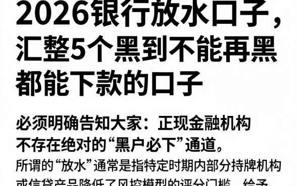 2026银行放水口子,汇整5个黑到不能再黑都能下款的口子