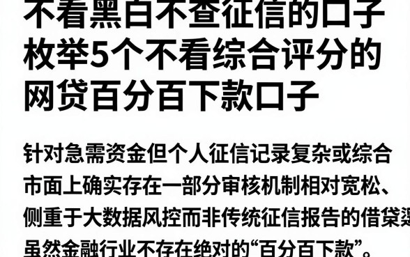 不看黑白不查征信的口子,枚举5个不看综合评分的网贷百分百下款口子