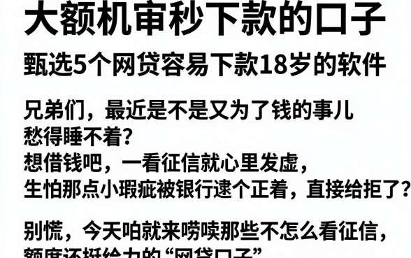 大额机审秒下款的口子，甄选5个网贷容易下款18岁的软件