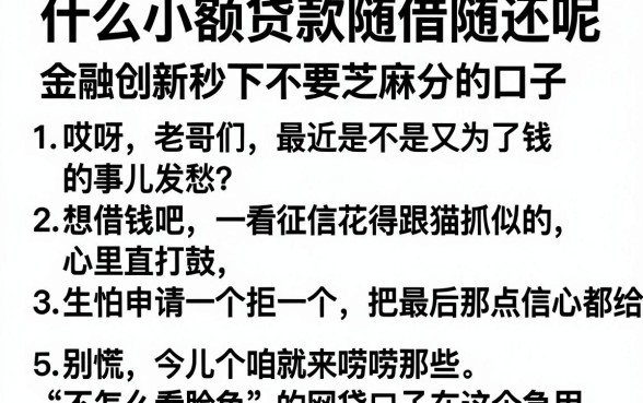 什么小额贷款随借随还呢，条列5个金融创新秒下不要芝麻分的口子