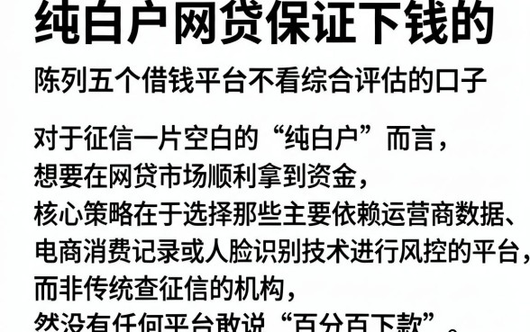 纯白户网贷保证下钱的,陈列五个借钱平台不看综合评估的口子