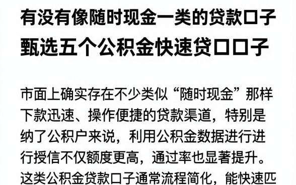 有没有像随时现金一类的贷款口子，甄选五个公积金快速贷款口子
