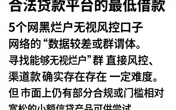 合法贷款平台的最低借款,详细阐述5个网黑烂户无视风控口子