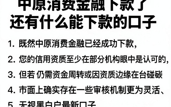 中原消费金融下款了还有什么能下款的口子，罗列5个无视黑白户最新口子