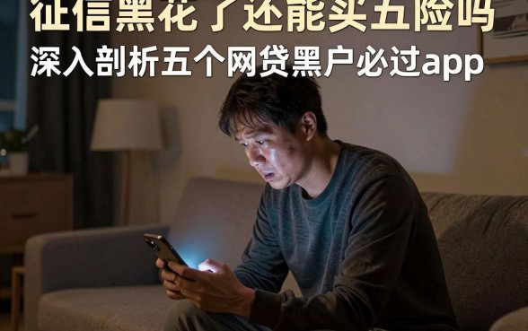 征信黑花了还能买五险吗,深入剖析五个网贷黑户必过app