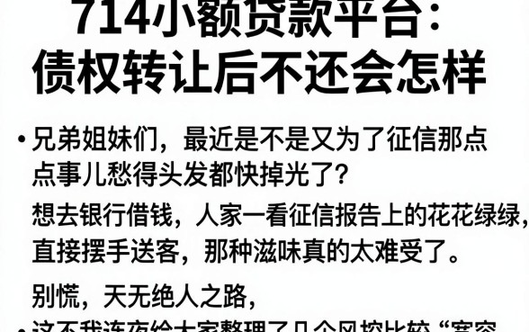 714小额贷款平台债权转让后不还会怎样，筛选5个网贷口子风控不严的软件