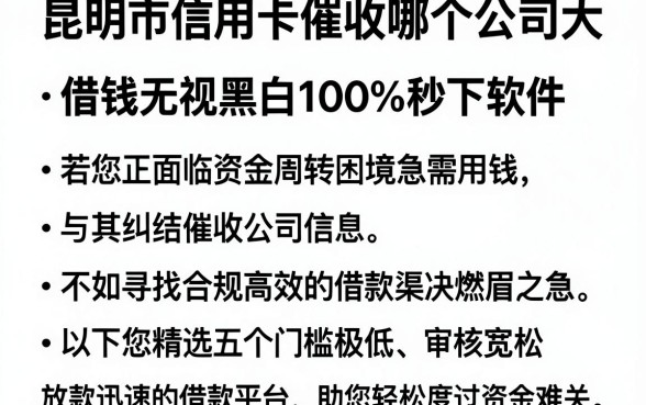 昆明市信用卡催收哪个公司大,详细阐述五个借钱无视黑白100%秒下软件