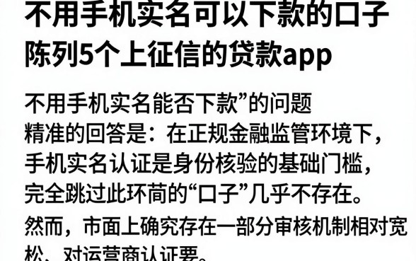 不用手机实名可以下款的口子,陈列5个不上征信的贷款app