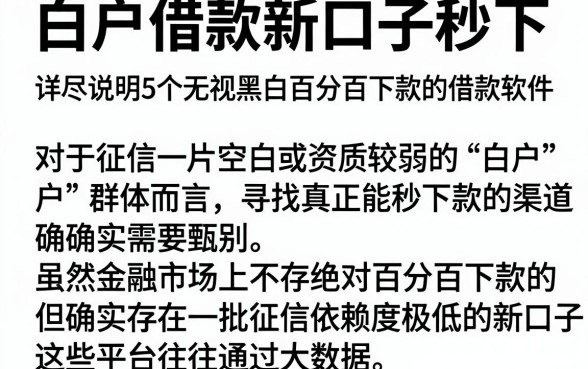 白户借款新口子秒下,详尽说明5个无视黑白百分百下款的借款软件