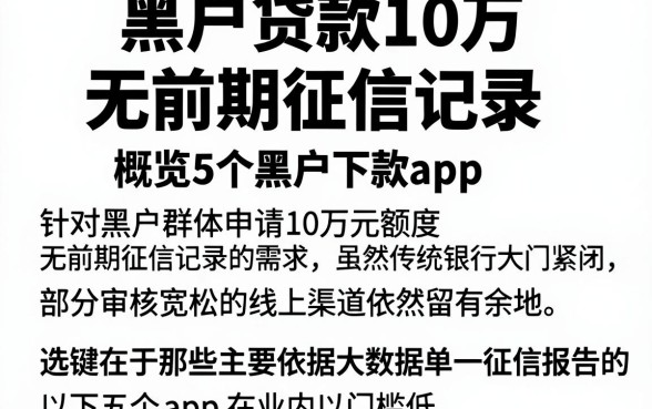 黑户贷款10万 无前期征信记录,概览5个黑户下款app